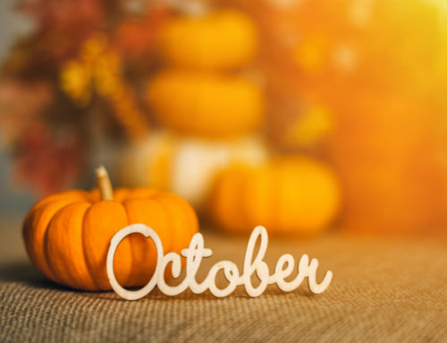 Nonprofit Social Media and Newsletter Ideas for October 2024